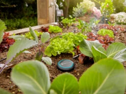 Gardena Soil Moisture Sensor -Gardena Store 967926801 gardena soil moisture sensor 3